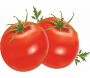 Картинки по запросу малюнок помідор